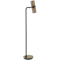 Rompa Floor Lamp in Matte Black/Brass by Hudson & Canal