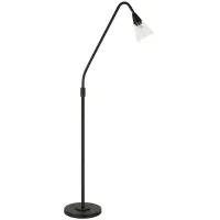 Helios Arc Floor Lamp in Blackened Bronze by Hudson & Canal