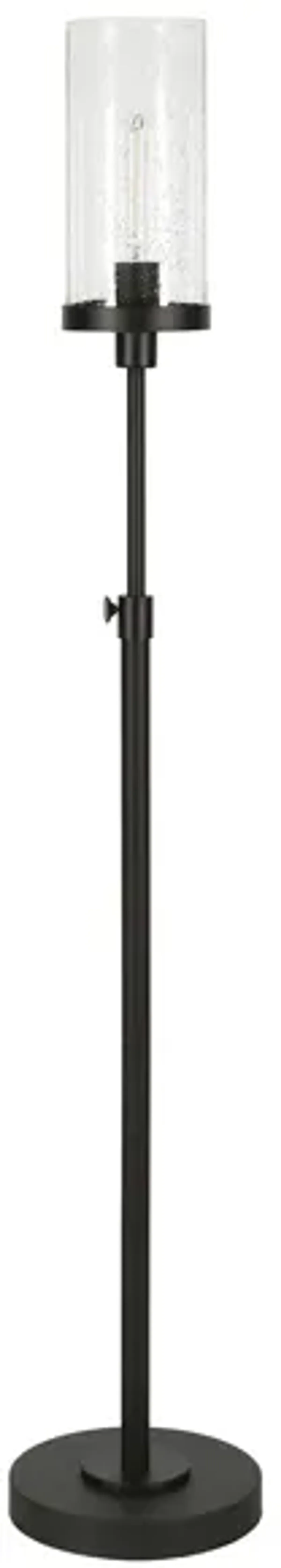 Lucien Floor Lamp in Blackened Bronze by Hudson & Canal