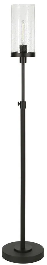 Lucien Floor Lamp in Blackened Bronze by Hudson & Canal