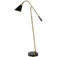 Temur Floor Lamp in Brass/Matte Black by Hudson & Canal