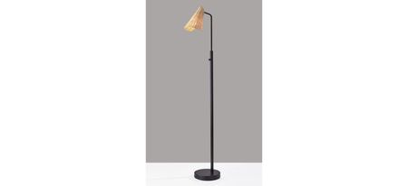 Cove Floor Lamp in Black by Adesso Inc