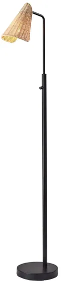 Cove Floor Lamp in Black by Adesso Inc