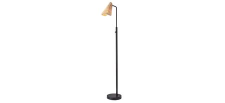 Cove Floor Lamp in Black by Adesso Inc