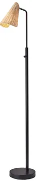 Cove Floor Lamp in Black by Adesso Inc