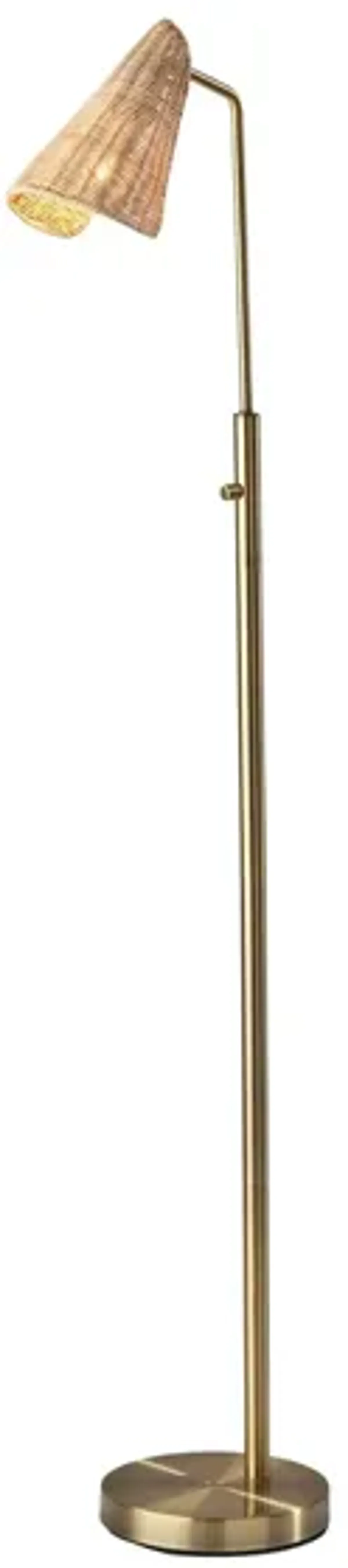 Cove Floor Lamp in Antique Brass by Adesso Inc