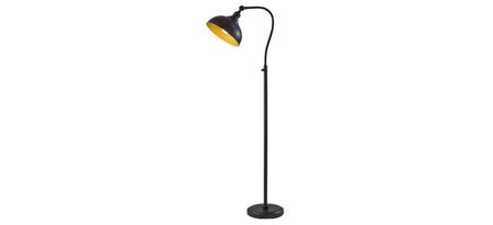 Wallace Floor Lamp in Black by Adesso Inc