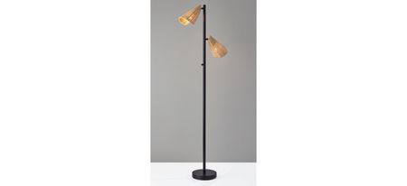 Cove 2-Light Floor Lamp in Black by Adesso Inc