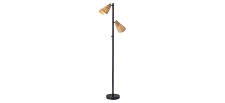 Cove 2-Light Floor Lamp in Black by Adesso Inc