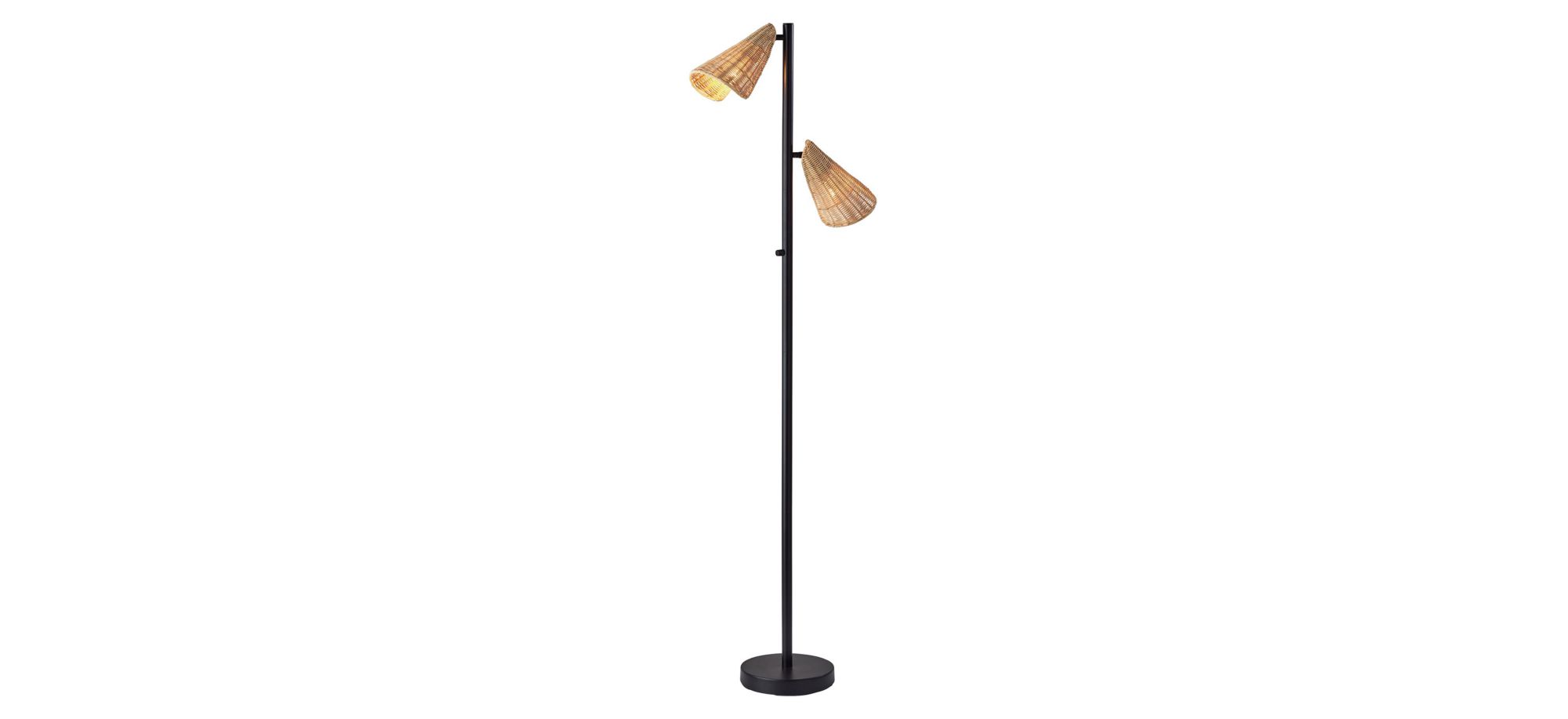 Cove 2-Light Floor Lamp in Black by Adesso Inc