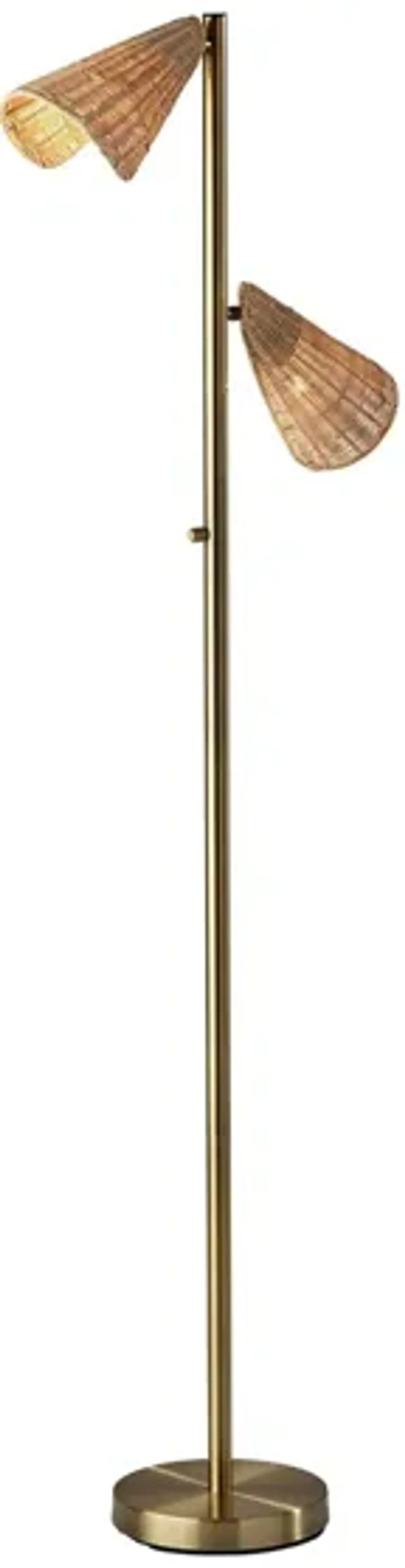 Cove 2-Light Floor Lamp in Antique Brass by Adesso Inc