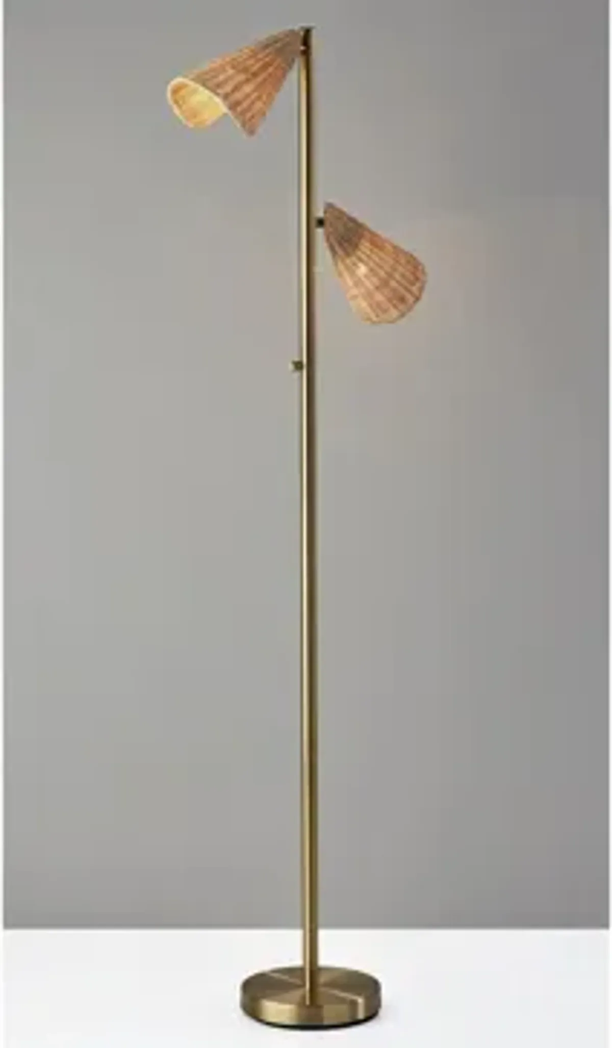 Cove 2-Light Floor Lamp