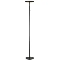 Kai Torchiere Color Changing Floor Lamp in Black by Adesso Inc
