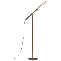 Gravity LED Floor Lamp in Walnut by Adesso Inc