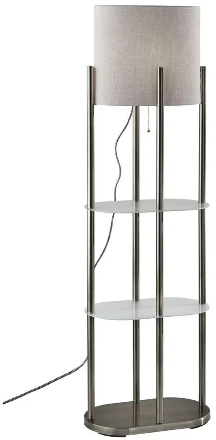 Norman Shelf Floor Lamp in Brushed Steel by Adesso Inc