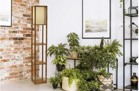 Wright Shelf Floor Lamp in Natural by Adesso Inc