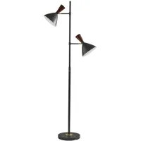 Arlo Tree Lamp in Black by Adesso Inc