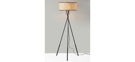 Bushwick Floor Lamp in Black by Adesso Inc