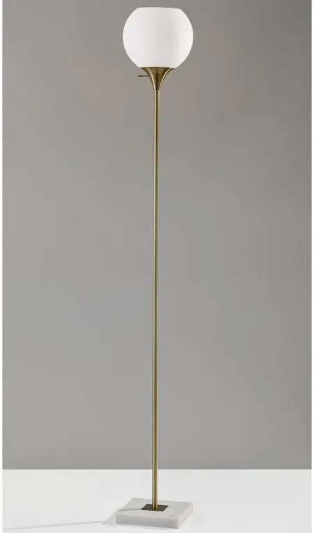 Fiona Torchiere Floor Lamp in Antiqued Brass by Adesso Inc