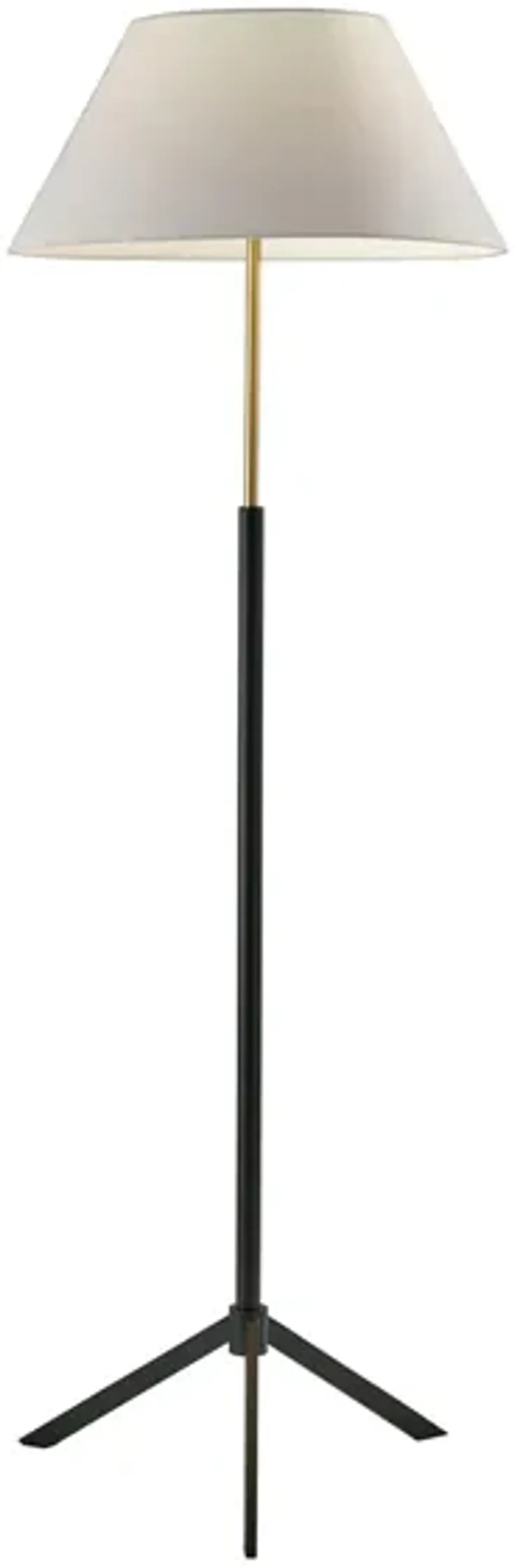 Harvey Floor Lamp in Black by Adesso Inc