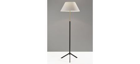 Harvey Floor Lamp in Black by Adesso Inc