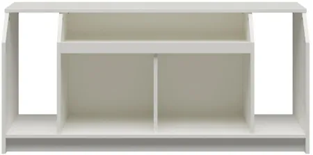 Lucklings TV Console in White by DOREL HOME FURNISHINGS