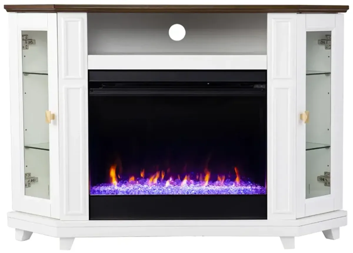 Goole Color Changing Media Fireplace