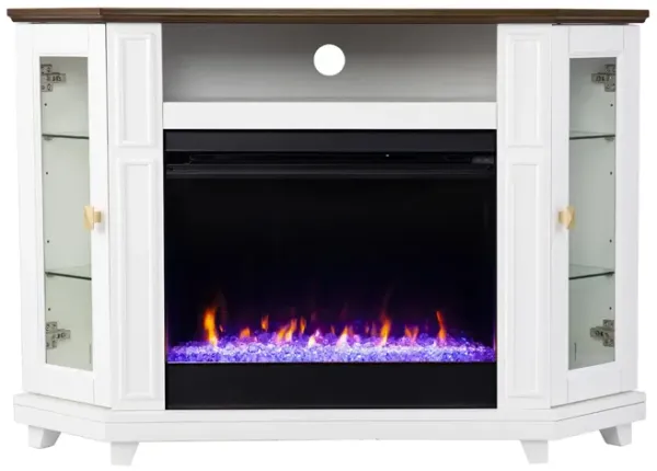 Goole Color Changing Media Fireplace