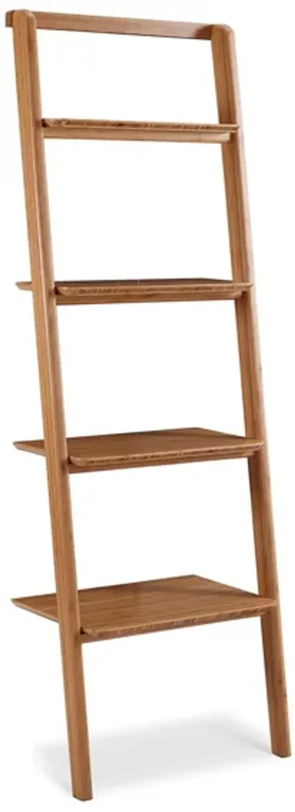 Currant Leaning Bookshelf