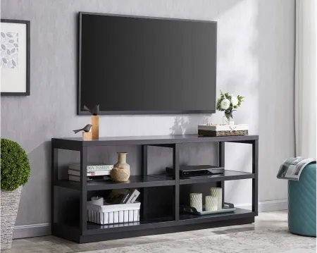 Nicole Brooks TV Stand in Black by Hudson & Canal