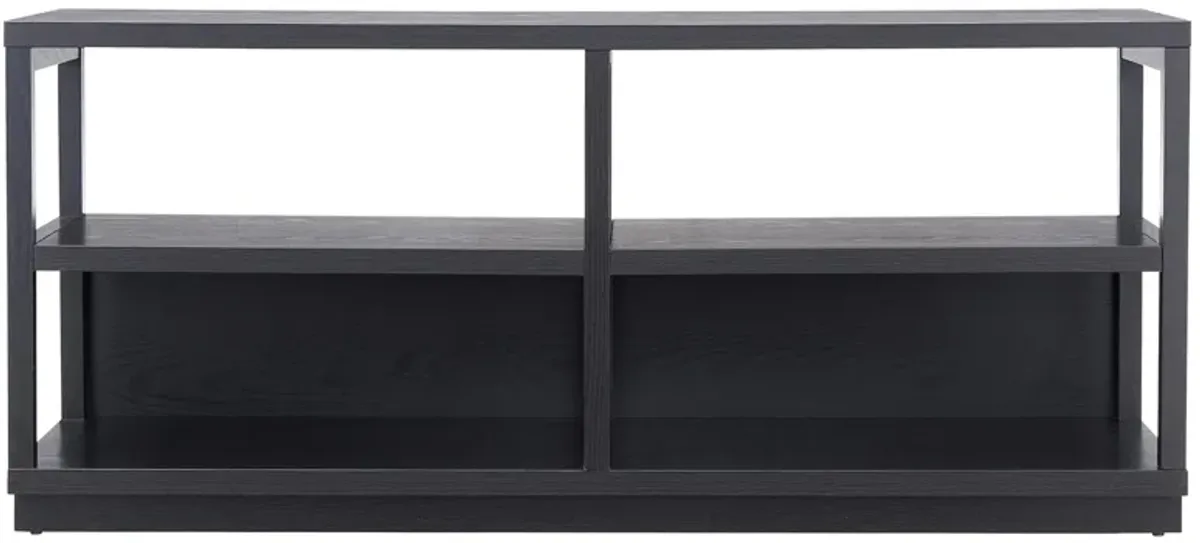 Nicole Brooks TV Stand in Black by Hudson & Canal