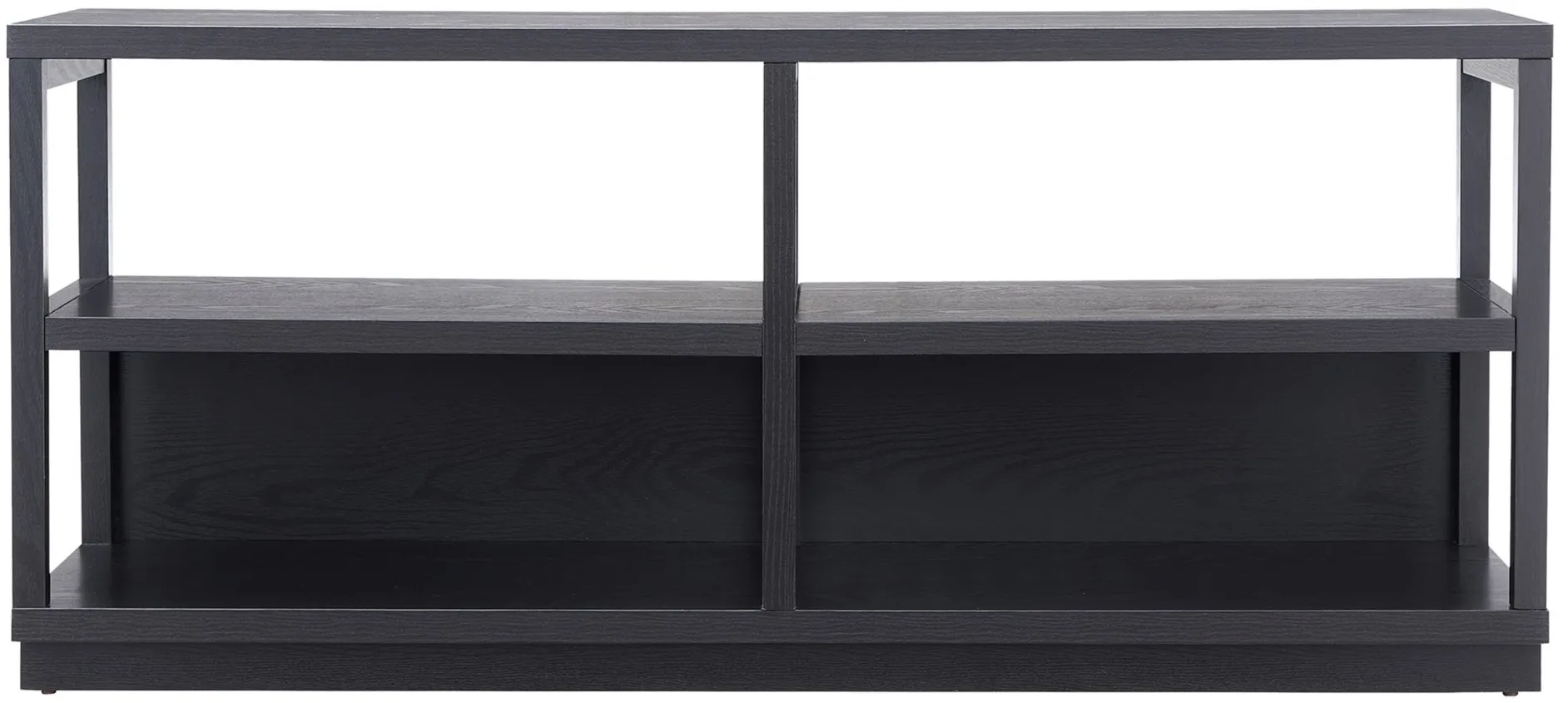 Nicole Brooks TV Stand in Black by Hudson & Canal