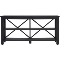 Paisley TV Stand in Black by Hudson & Canal