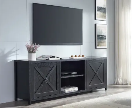 Taylor TV Stand in Black Grain by Hudson & Canal