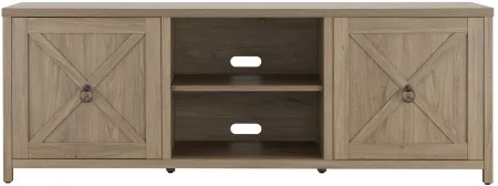 Taylor TV Stand in Antiqued Gray Oak by Hudson & Canal