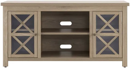 Eve TV Stand in Antiqued Gray Oak by Hudson & Canal