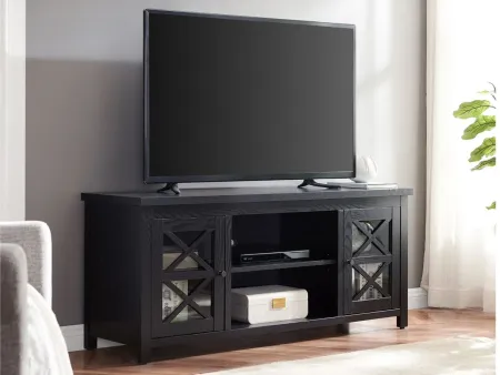 Eve TV Stand in Black Grain by Hudson & Canal