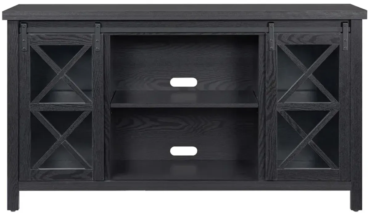 Smith TV Stand in Black Grain by Hudson & Canal