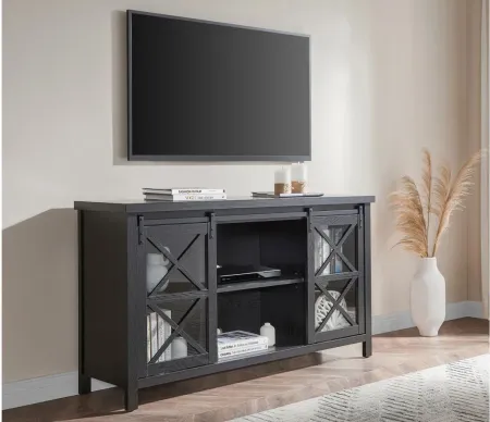 Smith TV Stand in Black Grain by Hudson & Canal