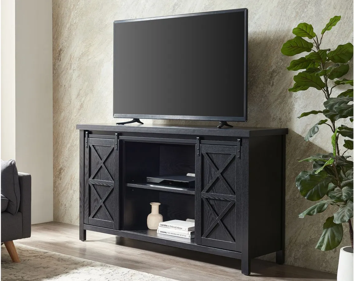 Elmwood TV Stand in Black Grain by Hudson & Canal