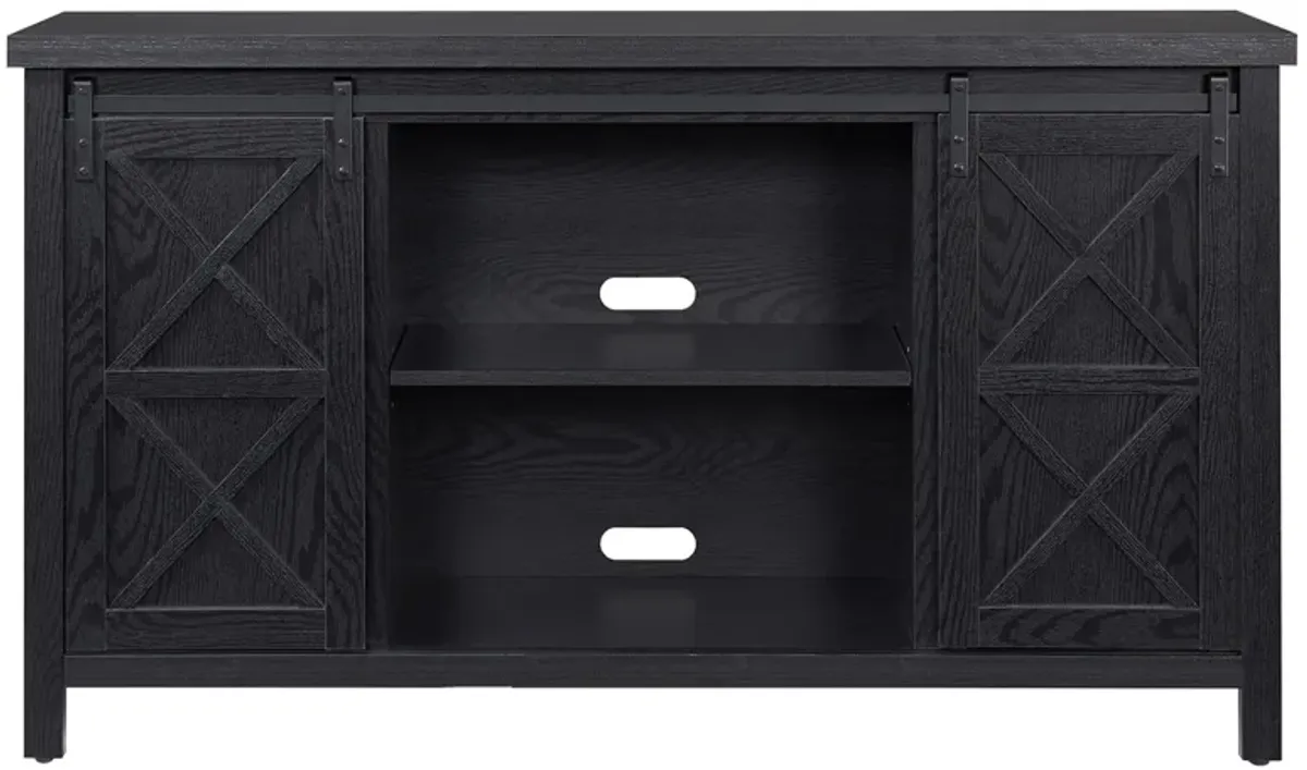 Elmwood TV Stand in Black Grain by Hudson & Canal