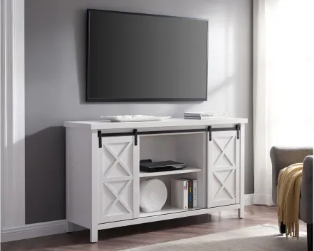 Elmwood TV Stand in White by Hudson & Canal