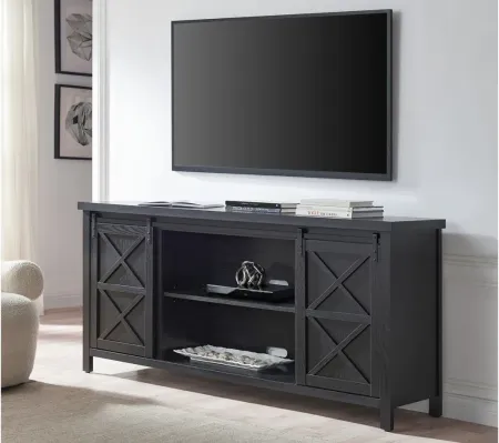 Elmwood TV Stand in Black Grain by Hudson & Canal