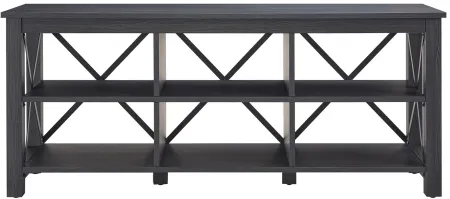 Paisley TV Stand in Charcoal Gray by Hudson & Canal