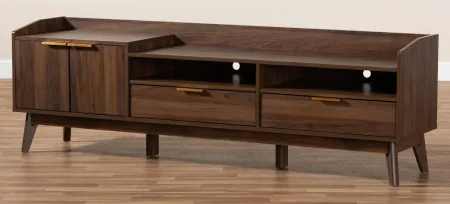 Lena 2-Drawer Wood TV Stand in Walnut by Wholesale Interiors