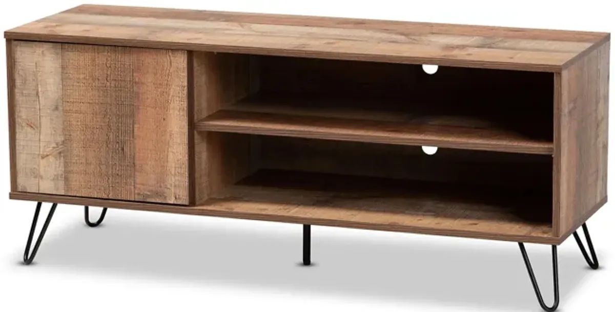 Iver 1-Door TV Stand