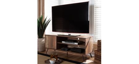 Iver 1-Door TV Stand in Rustic Oak/Black by Wholesale Interiors