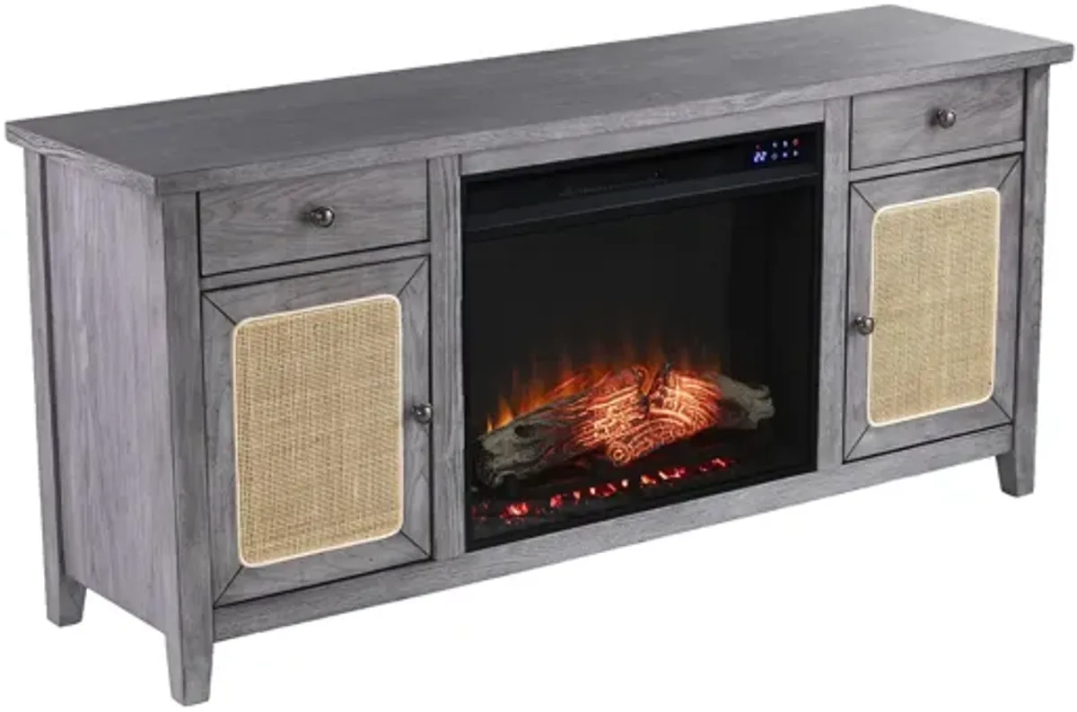 Raegan Elec Fireplace Media Console