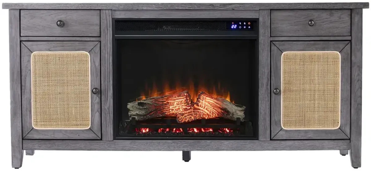 Raegan Elec Fireplace Media Console
