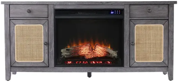 Raegan Elec Fireplace Media Console